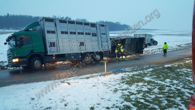 LKW-Bergung mit Tierrettung