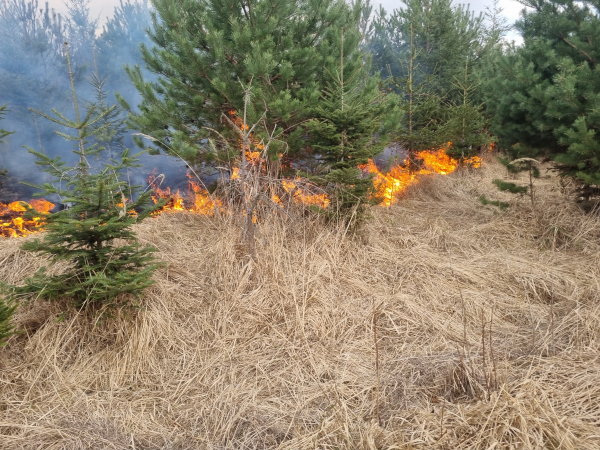 Abschlußbericht - Waldbrand im Bereich &quot;silberne Birn&quot;