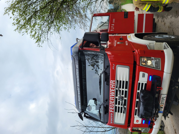 Tierrettung - Reh hängt in Zaun fest