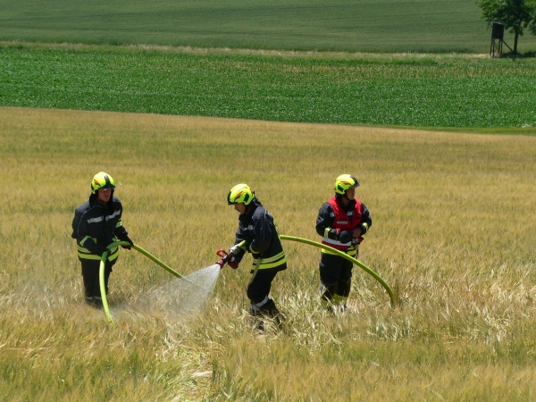 Flurbrand Richtung Schaubing