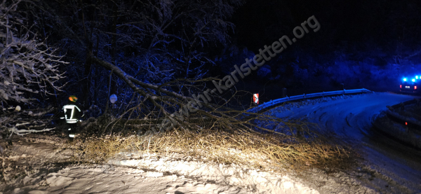 Baum über Straße