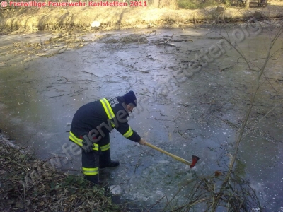 Auspumparbeiten  im Waldlehrpfad