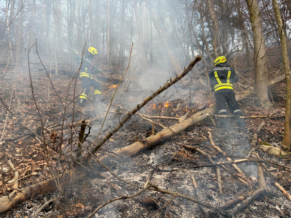 B2 Vegetationsbrand im Waldgebiet