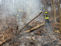 B2 Vegetationsbrand im Waldgebiet