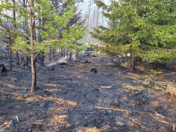 ausgedehnter Waldbrand im Bereich &quot;silberne Birn&quot;